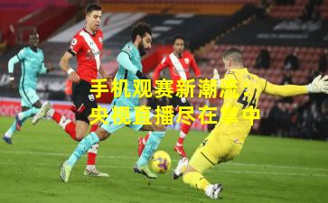 手机观赛新潮流：央视直播尽在掌中