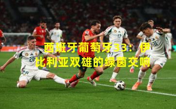 西班牙葡萄牙33：伊比利亚双雄的绿茵交响