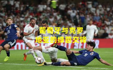 葡萄牙与克罗地亚的绿茵交锋