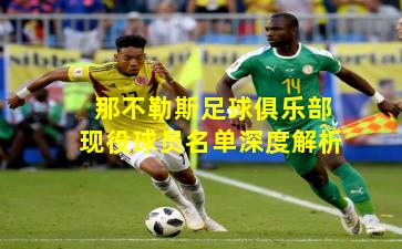 那不勒斯足球俱乐部现役球员名单深度解析